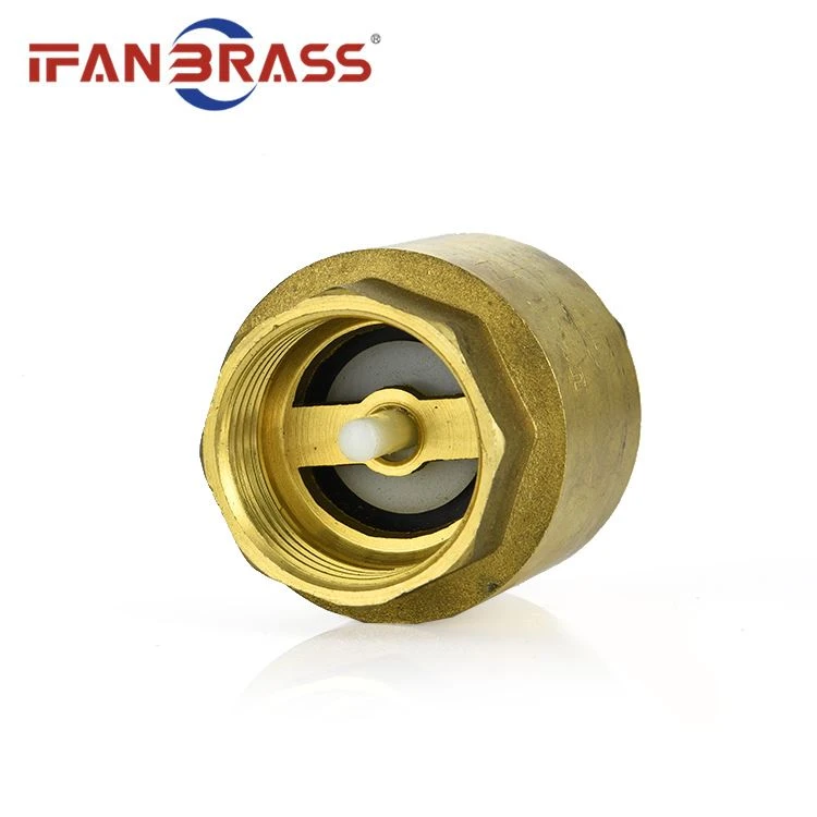 brass non return valves