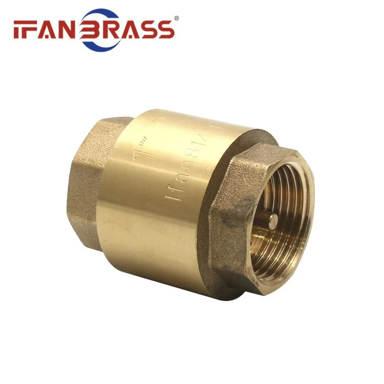 check valve
